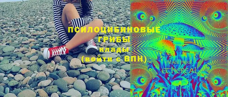 OMG сайт  закладка  Алапаевск  Галлюциногенные грибы Cubensis 